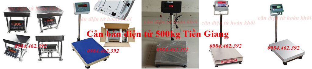 can-ban-dien-tu-500kg-tien-giang-can-ban-dien-tu-hoan-khoi