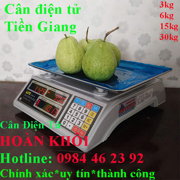 can-dien-tu-tien-giang-can-dien-tu-tinh-tien-3kg-6kg-15kg-30kg