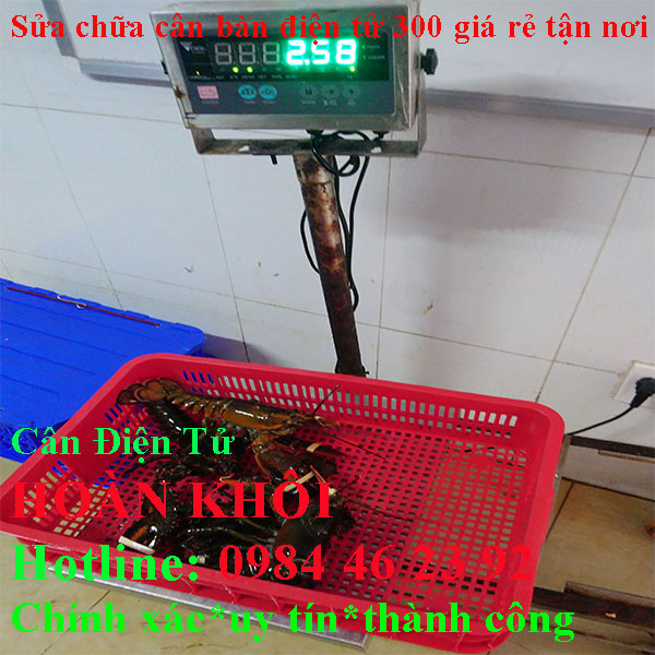 sua-chua-can-ban-dien-tu-300kg-gia-re-tan-noi