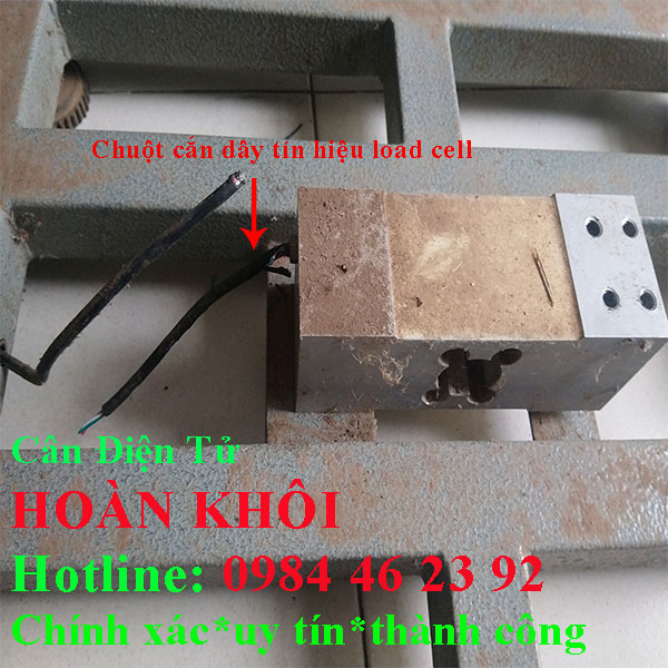sua-chua-can-ban-dien-tu-a12e-60kg-100kg-150kg-200kg-300kg-500kg