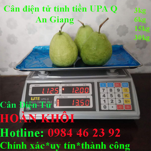 can-dien-tu-tinh-tien-upa-q-3kg-6kg-15kg-30kg-an-giang