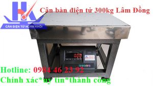 can-ban-dien-tu-300kg-lam-dong