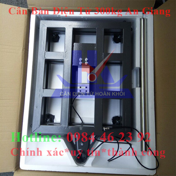 can-ban-dien-tu-300kg-an-giang2
