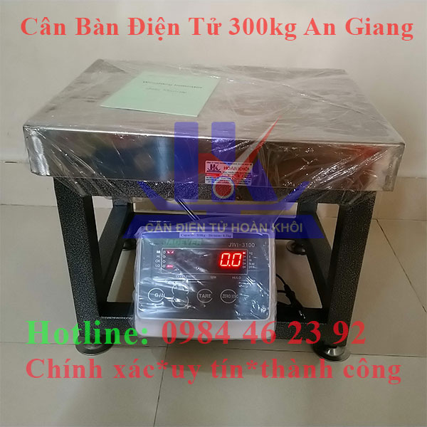 can-ban-dien-tu-300kg-an-giang4
