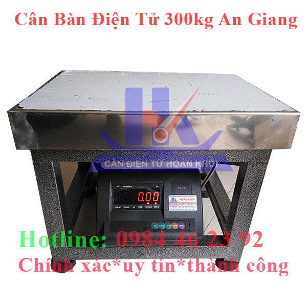 can-ban-dien-tu-300kg-an-giang5