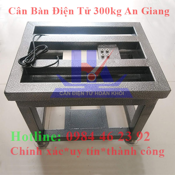 can-ban-dien-tu-300kg-an-giang6