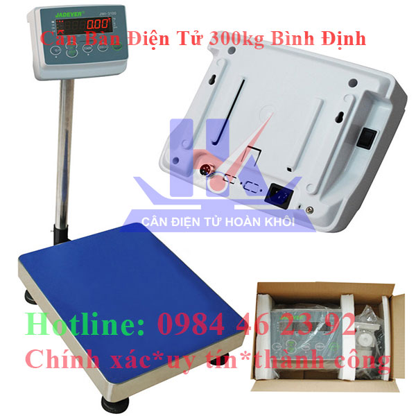 can-ban-dien-tu-300kg-binh-dinh1