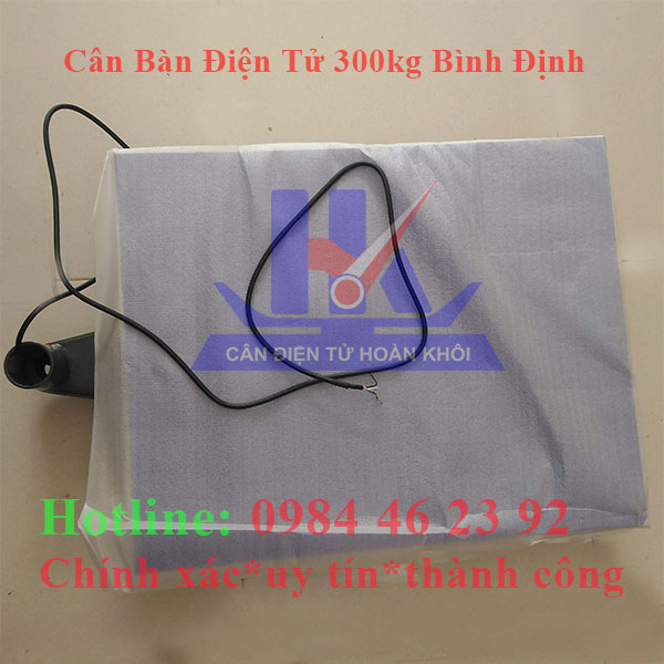 can-ban-dien-tu-300kg-binh-dinh2