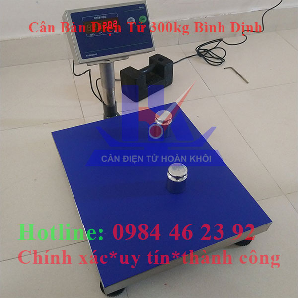 can-ban-dien-tu-300kg-binh-dinh5