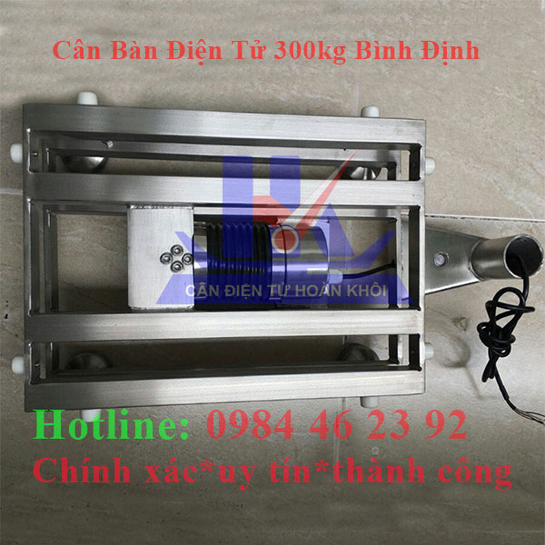 can-ban-dien-tu-300kg-binh-dinh6