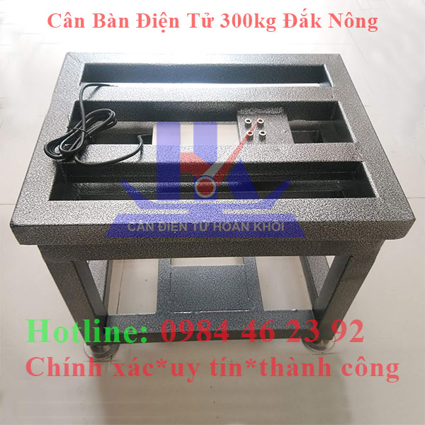 can-ban-dien-tu-300kg-dak-nong6