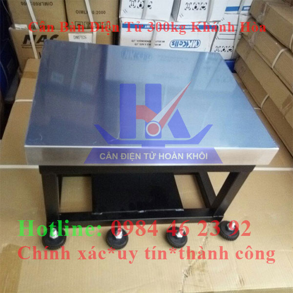 can-ban-dien-tu-300kg-khanh-hoa6