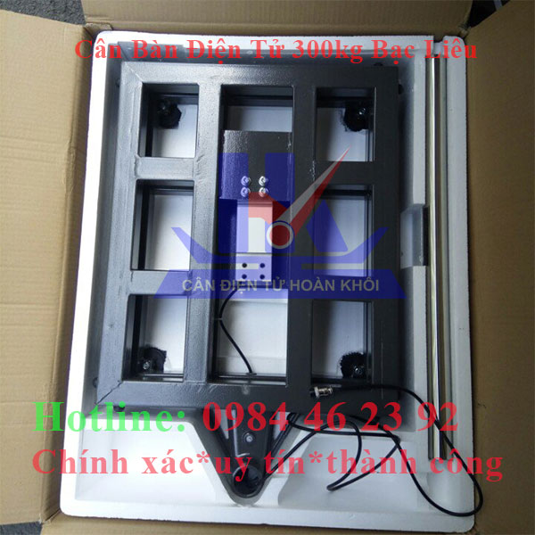 can-ban-dien-tu-300kg-bac-lieu3