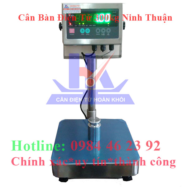 can-ban-dien-tu-300kg-ninh-thuan2