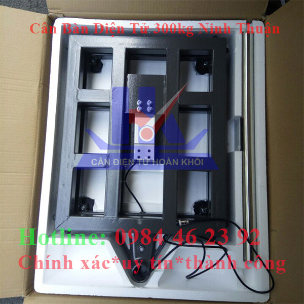 can-ban-dien-tu-300kg-ninh-thuan7