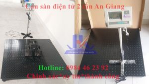 can-san-dien-tu-2-tan-an-giang