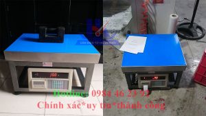 can-ban-ghe-60kg-100kg-200kg-300kg-500kg-a9