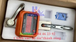 Cân_móc_cẩu_cân_treo_điện_tử_10_tấn